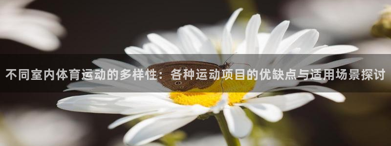 球客岛：不同室内体育运动的多样性：各种运动项目的优缺点与适用场景探讨
