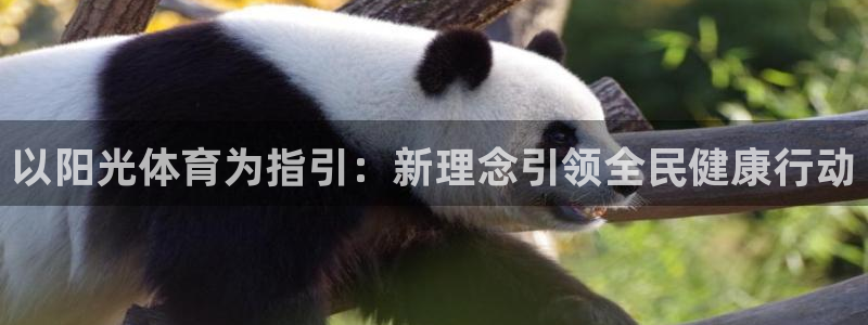 球客岛：以阳光体育为指引：新理念引领全民健康行动