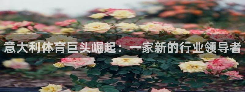 球客岛：意大利体育巨头崛起：一家新的行业领导者