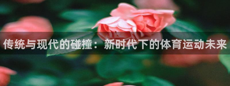 球客岛：传统与现代的碰撞：新时代下的体育运动未来