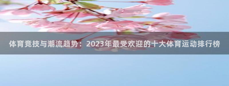 球客岛：体育竞技与潮流趋势：2023年最受欢迎的十大体育运动排行榜