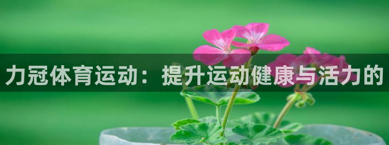 球客岛：力冠体育运动：提升运动健康与活力的