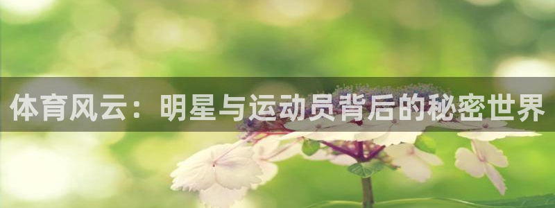 球客岛：体育风云：明星与运动员背后的秘密世界