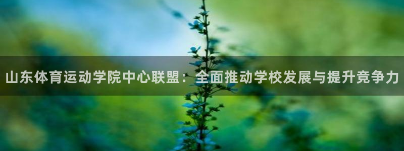 球客岛：山东体育运动学院中心联盟：全面推动学校发展与提升竞争力