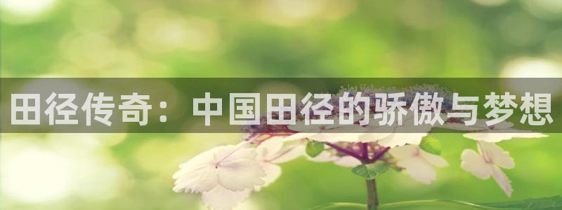 球客岛：田径传奇：中国田径的骄傲与梦想