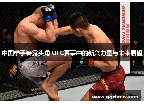 中国拳手崭露头角 UFC赛事中的新兴力量与未来展望