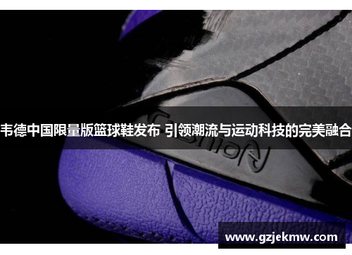 韦德中国限量版篮球鞋发布 引领潮流与运动科技的完美融合