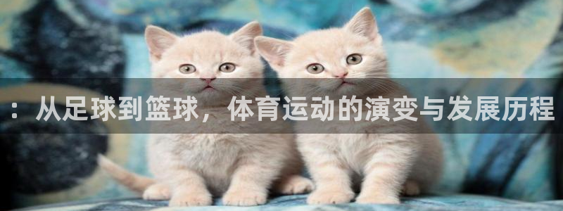 球客岛：：从足球到篮球，体育运动的演变与发展历程